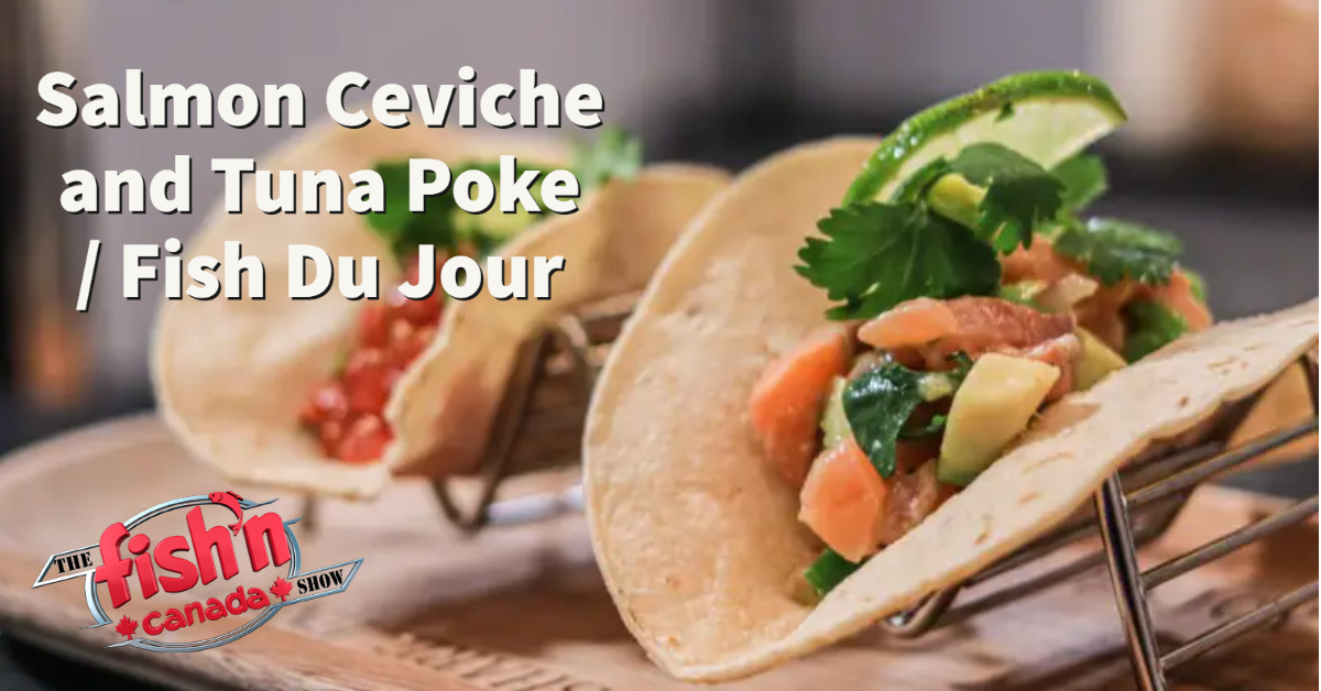 Salmon Ceviche and Tuna Poke | Fish Du Jour