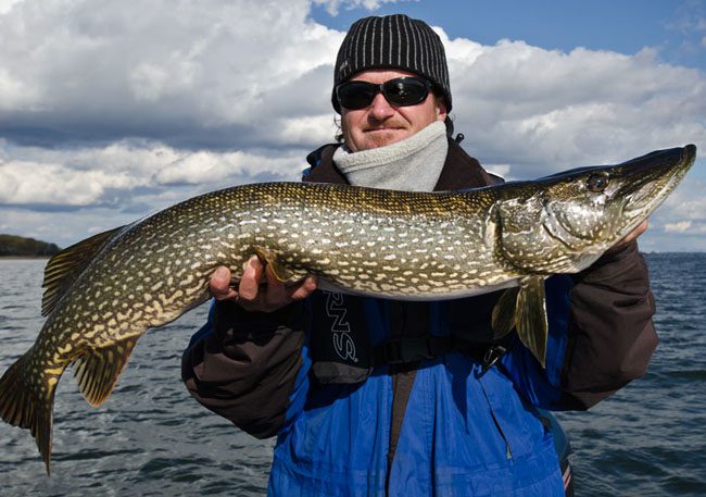 I love surprises... only if they’re good ones. This Pike was the bonus of the day. It hit the shallow Crank and I pretty much knew right off the bat that it wasn’t what we were after.