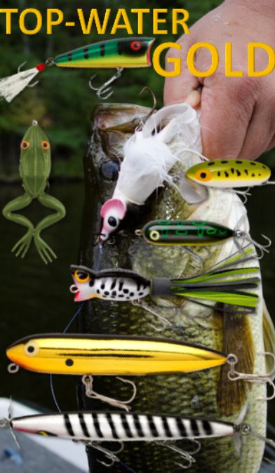 Largemouth Bass topwater baits