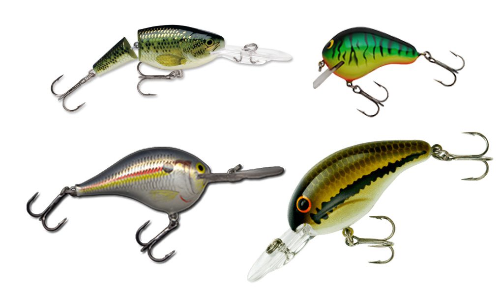 Four Largemouth Bass Crankbaits