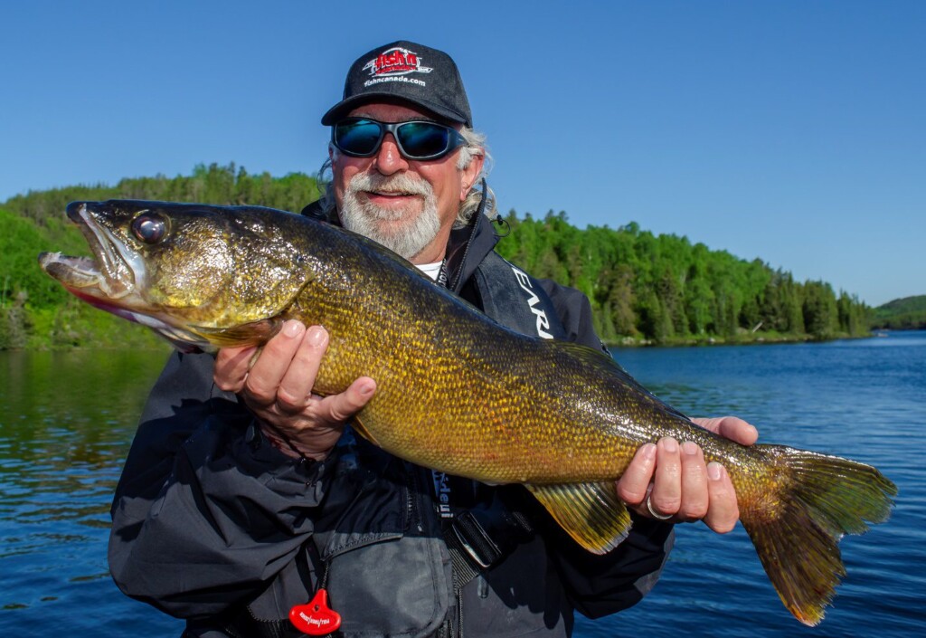 Angelo Viola with Hawk Lake Walleye