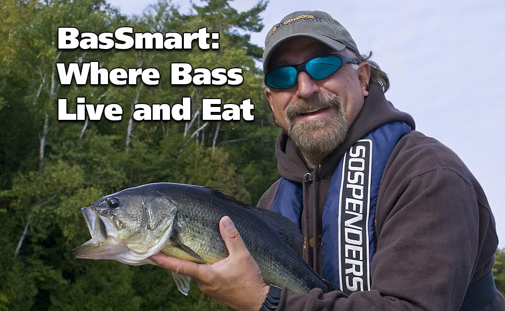 Where Bass Live