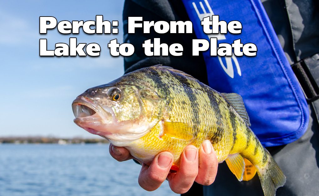 PERCH