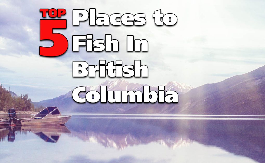 Top 5 Places to Fish in British Columbia