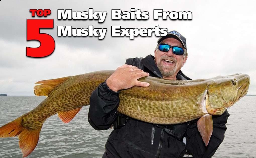 Musky Baits