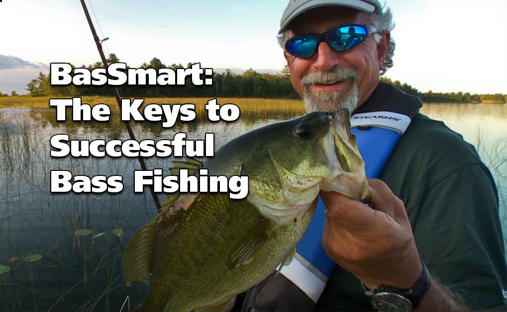 Largemouth Bass