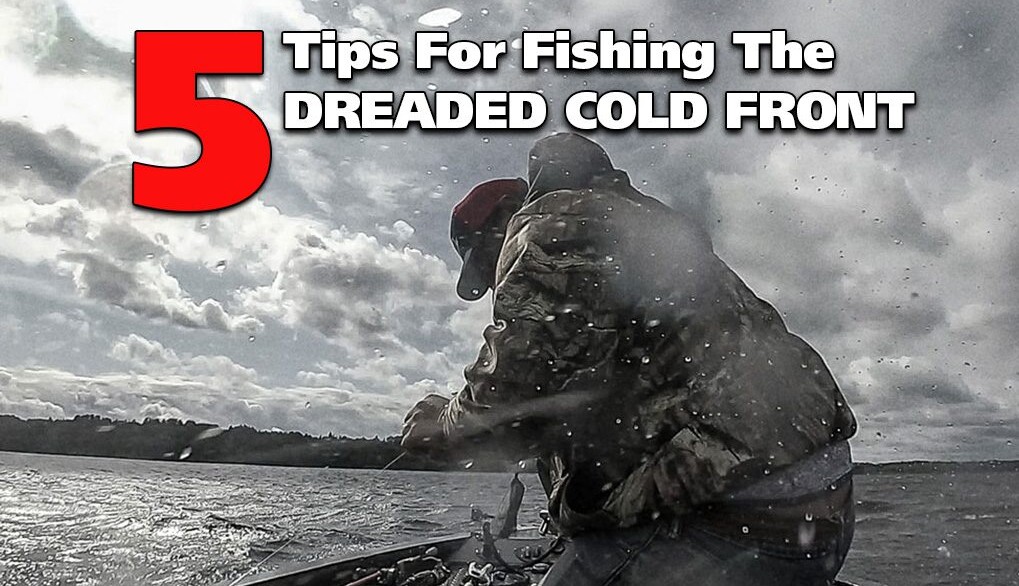 Dreaded Cold Front - 5 Tips