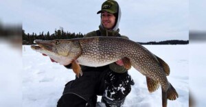 Ice Fishing For Pike