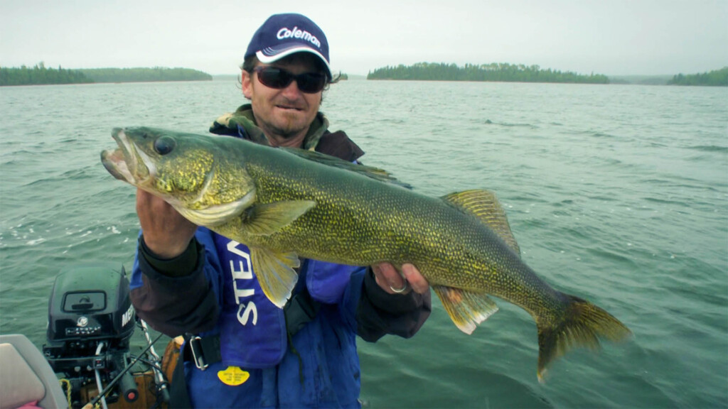 a walleye caught on Esnagi Lake