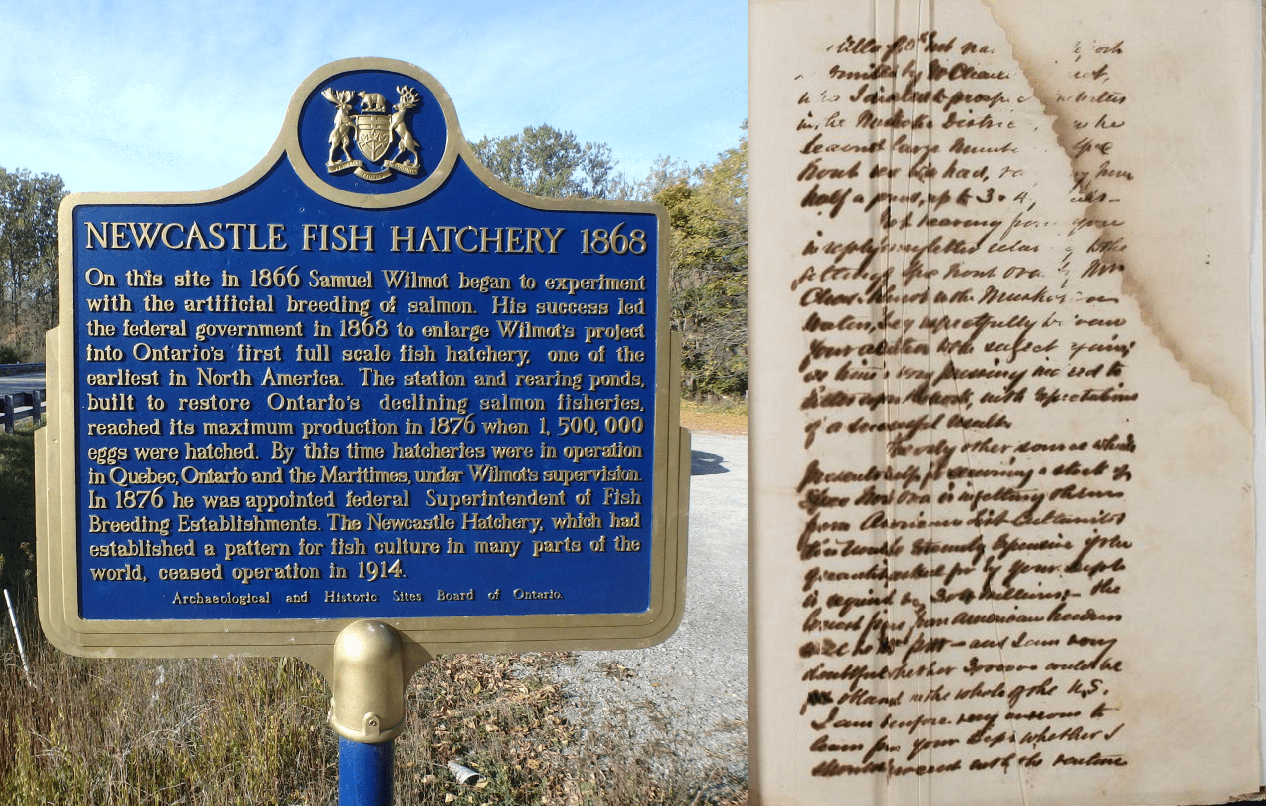 Samuel Wilmot and the Lake Ontario Salmon