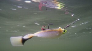 stinger hook on a swimbait
