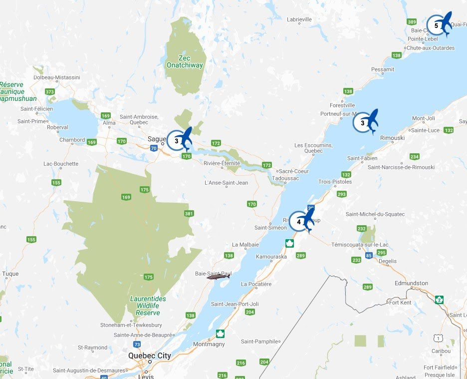 Greenland Shark range in the St. Lawrence River
