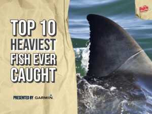 THE WORLD’S TOP 10 HEAVIEST GAMEFISH EVER CAUGHT