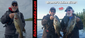Behind the Scenes: Branch’s Seine River