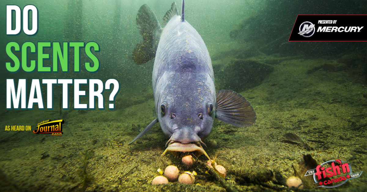 Do Scents Matter?