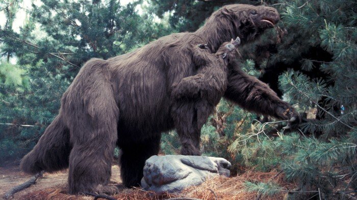 giant+ground+sloth