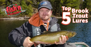 Top 5 Brook Trout Lures