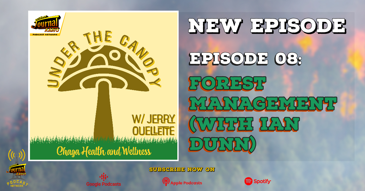 Under The Canopy Episode 08: Forest Management (with Ian Dunn)