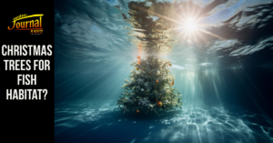 Christmas Trees for Fish Habitat