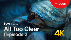 WATCH NOW: Muddy the Waters | Episode 2 | All Too Clear: Beneath the Surface of the Great Lakes | TVO Original