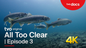 A Silver Lining | Episode 3 | All Too Clear: Beneath the Surface of the Great Lakes | TVO Original