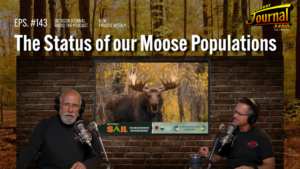 The Status of our Moose Populations | Outdoor Journal Radio ep. 143