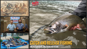 The Past, Present, and Troubling Future of Catch and Release Fishing