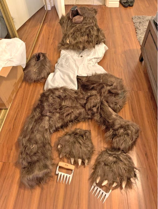 Person used bear costume to fake car damage, California officials say