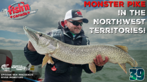 Episode 554: Mackenzie River Monsters