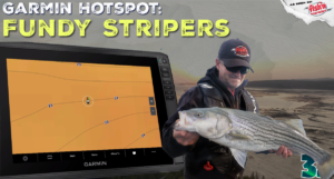 Fundy Stripers | HotSpot