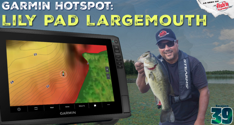 Lily Pad Largemouth | HotSpot